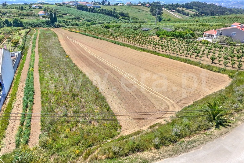 Terreno / Óbidos, Usseira