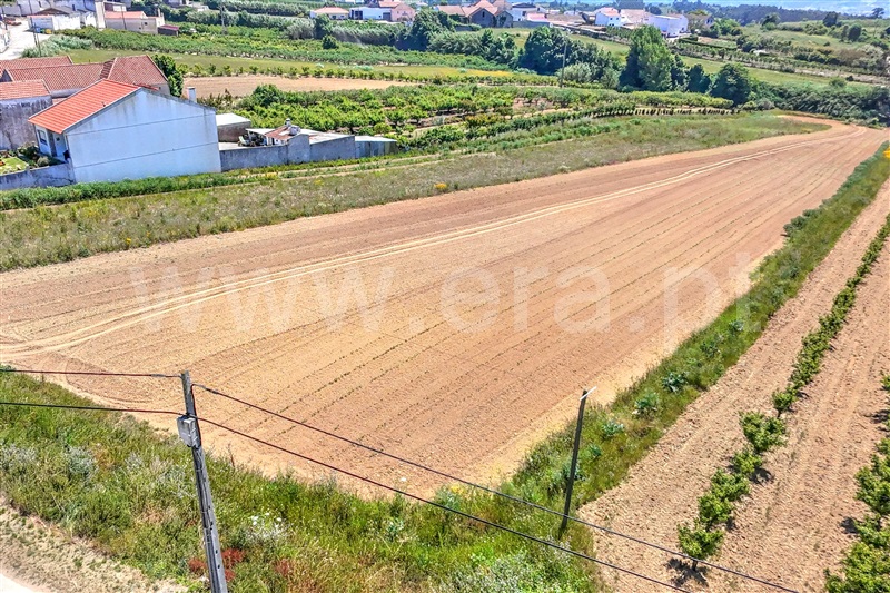 Terreno  Óbidos, Usseira - 1484583 - 3
