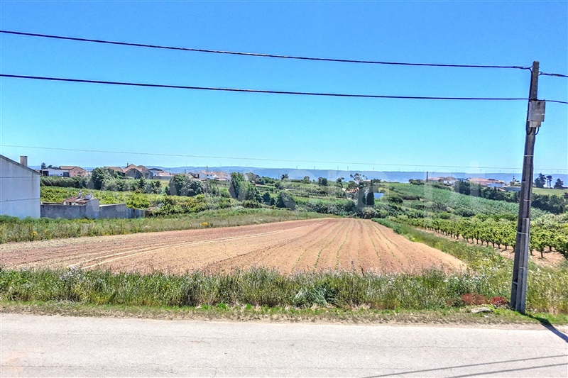 Terreno  Óbidos, Usseira - 1484583 - 4