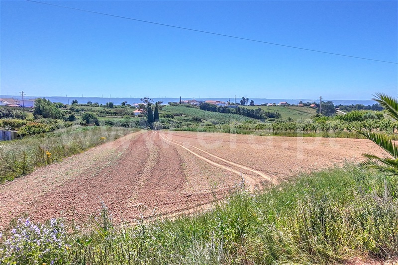 Terreno  Óbidos, Usseira - 1484583 - 5
