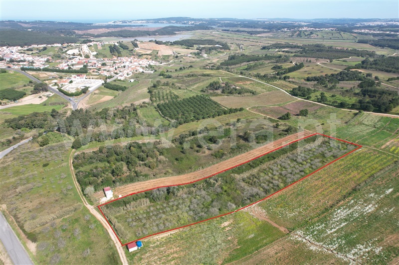 Terreno / Óbidos, Vau