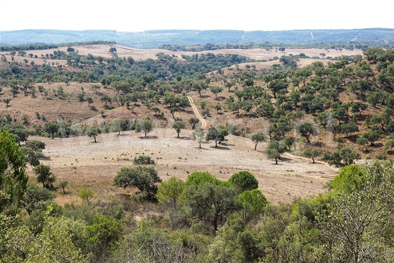 Terreno  Odemira, Boavista - 710550 - 3