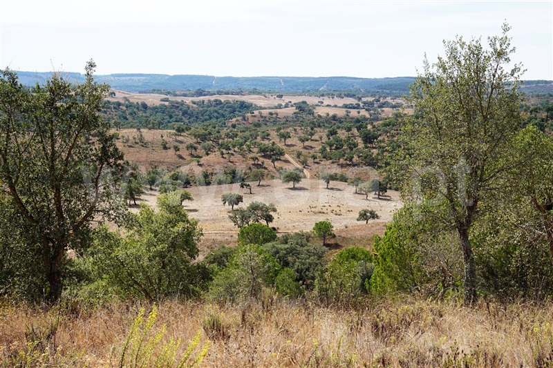 Terreno  Odemira, Boavista - 710550 - 1