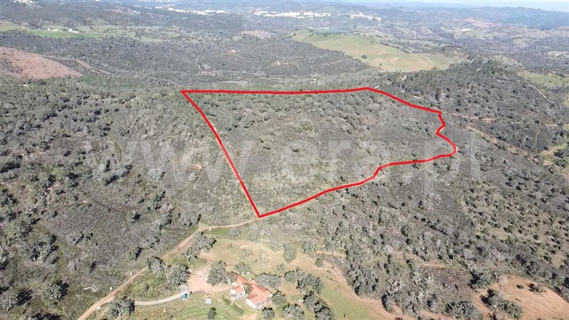 Terreno / Odemira, Boavista
