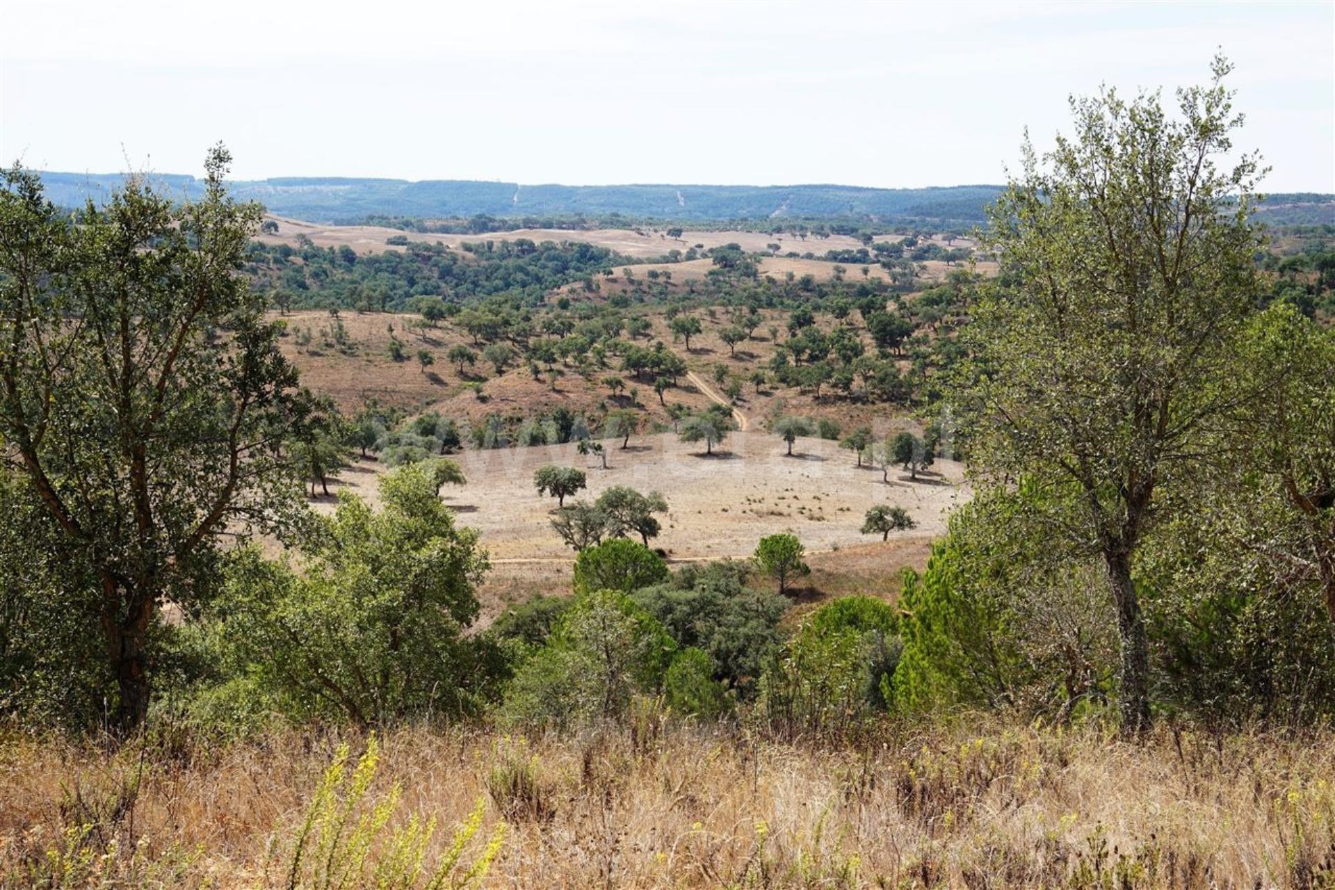 Land for sale in Odemira, Portugal — €110,000