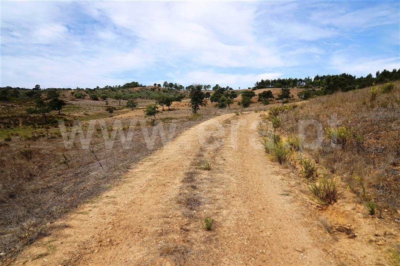 Terreno  Odemira, Brejo dos Pinheiros - 710543 - 5