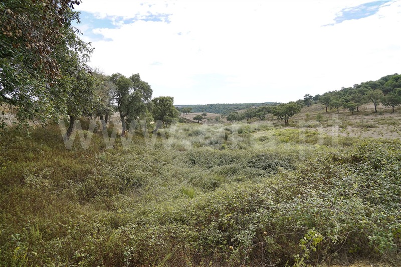 Terreno  Odemira, Brejo dos Pinheiros - 710543 - 1