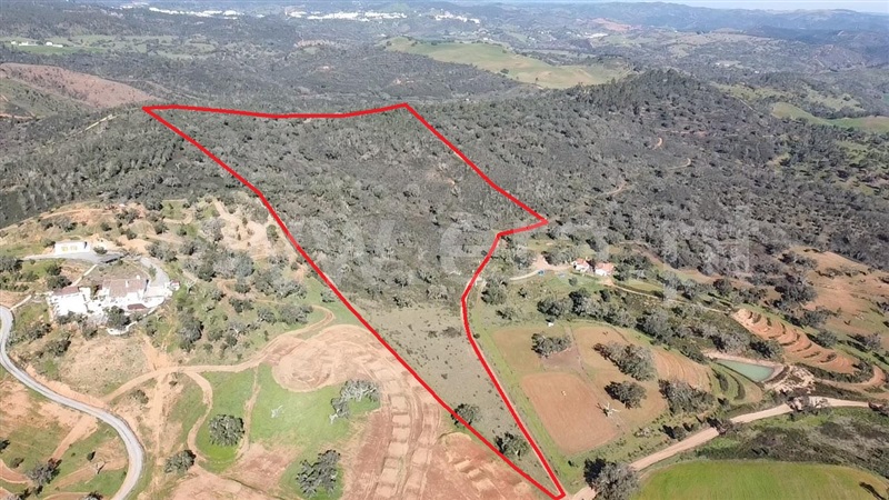 Terreno / Odemira, Brejo dos Pinheiros