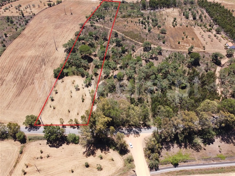 Terreno / Odemira, Colos
