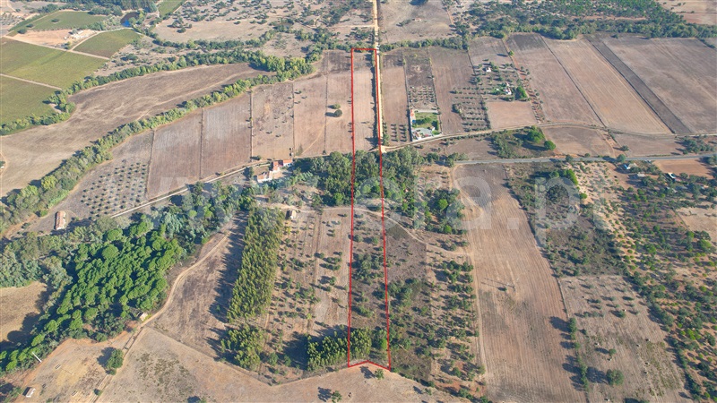 Terreno / Odemira, Colos