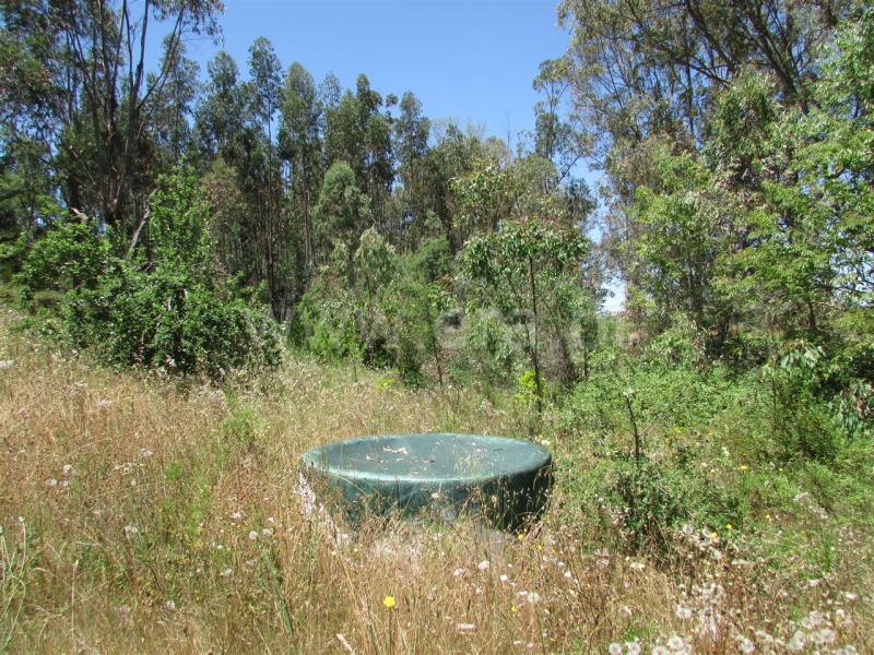 Terreno  Odemira, Colos - 740755 - 7