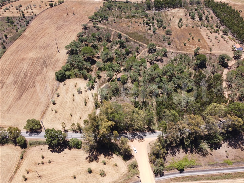 Terreno  Odemira, Colos - 740755 - 22