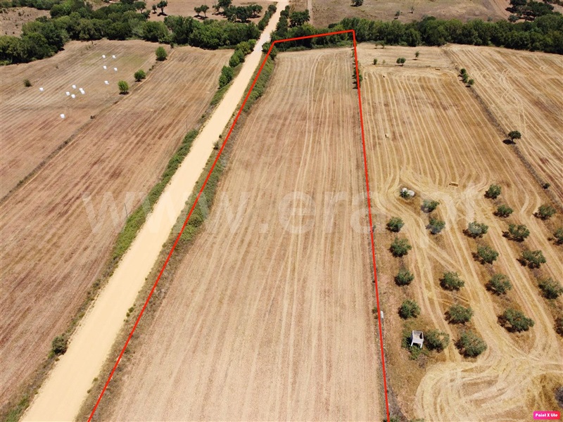 Terreno  Odemira, Colos - 740755 - 21
