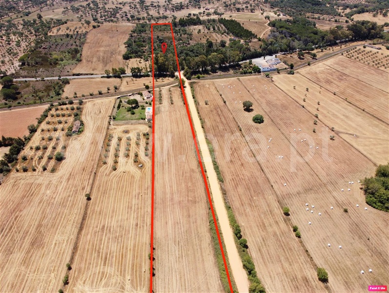 Terreno / Odemira, Colos