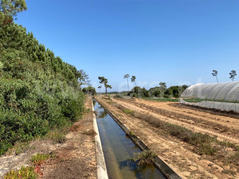 Terreno / Odemira, Longueira/Almograve