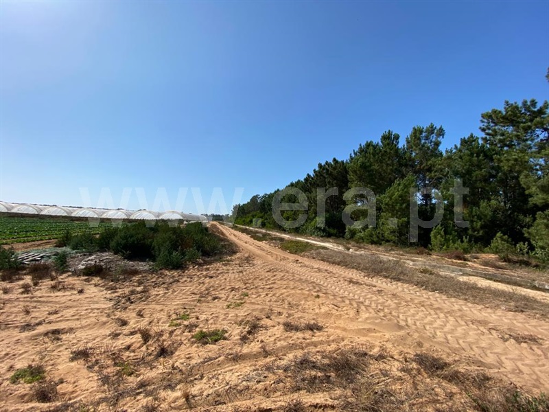 Terreno  Odemira, Longueira/Almograve - 1189874 - 17