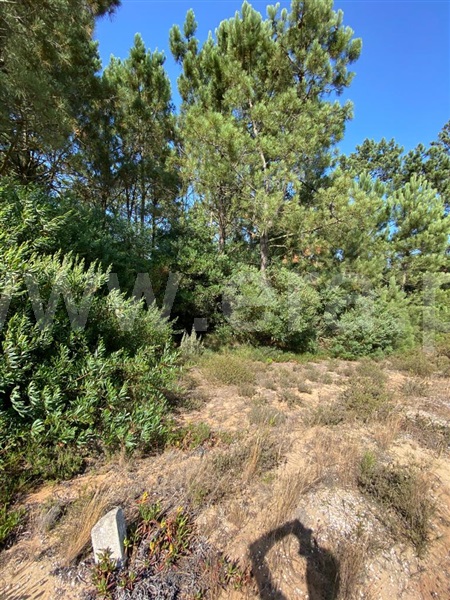 Terreno  Odemira, Longueira/Almograve - 1189874 - 6