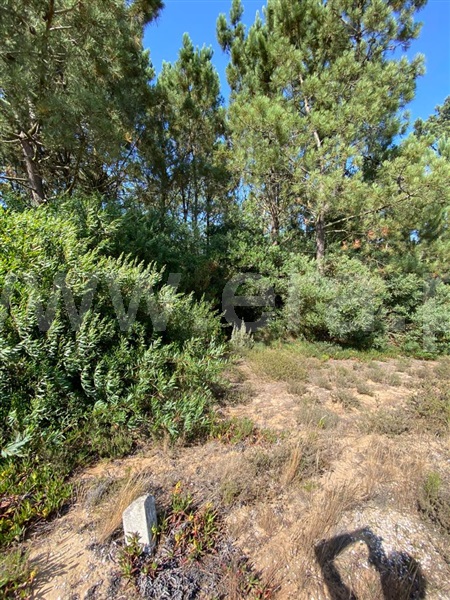 Terreno  Odemira, Longueira/Almograve - 1189874 - 7