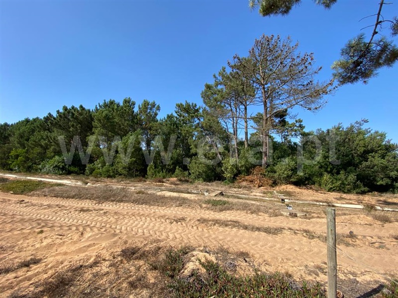 Terreno  Odemira, Longueira/Almograve - 1189874 - 9