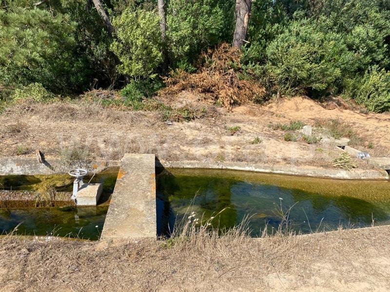 Terreno  Odemira, Longueira/Almograve - 1189874 - 4