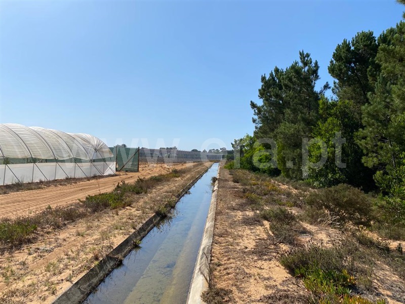 Terreno  Odemira, Longueira/Almograve - 1189874 - 19