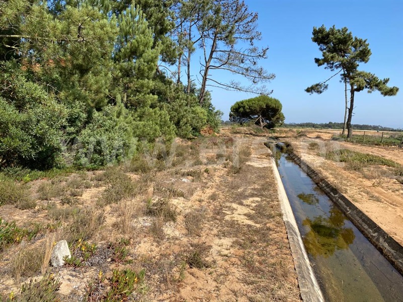 Terreno  Odemira, Longueira/Almograve - 1189874 - 13