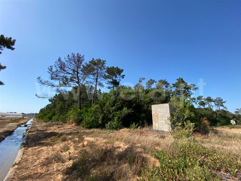 Terreno  Odemira, Longueira/Almograve - 1189874 - 14
