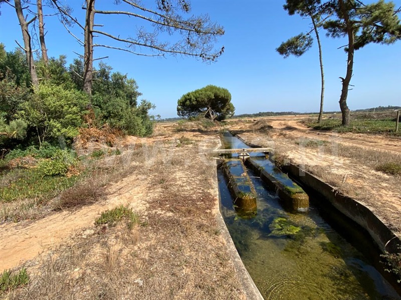 Terreno  Odemira, Longueira/Almograve - 1189874 - 5