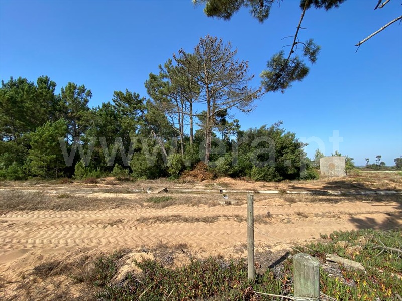 Terreno  Odemira, Longueira/Almograve - 1189874 - 15