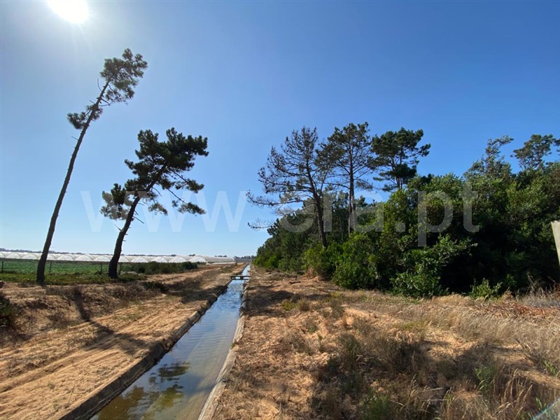 Terreno  Odemira, Longueira/Almograve - 1189874 - 16