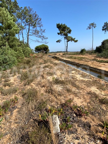 Terreno  Odemira, Longueira/Almograve - 1189874 - 18