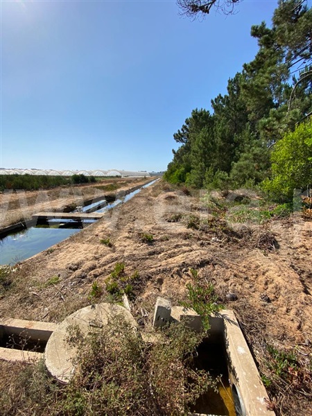 Terreno  Odemira, Longueira/Almograve - 1189874 - 2