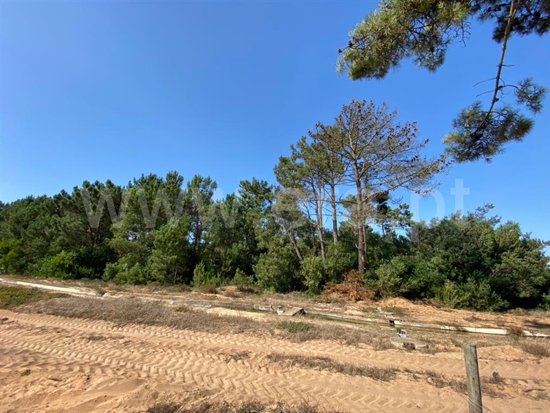 Terreno  Odemira, Longueira/Almograve - 1189874 - 3