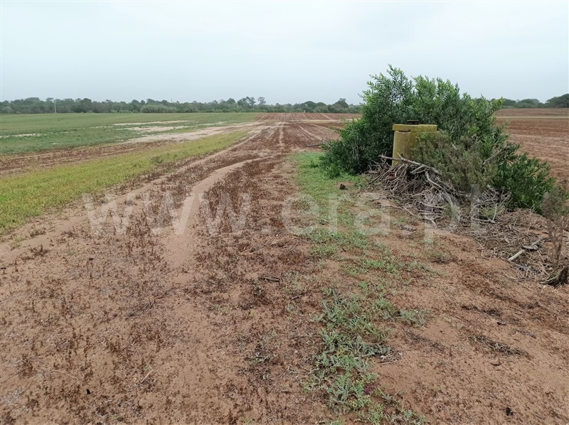 Terreno  Odemira, Longueira/Almograve - 1288088 - 4