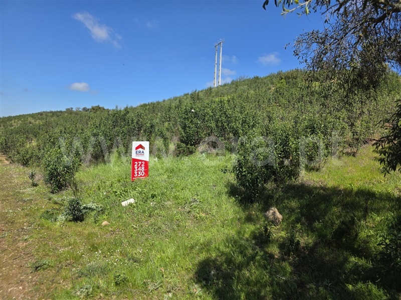 Terreno  Odemira, São Martinho das Amoreiras - 1473286 - 5