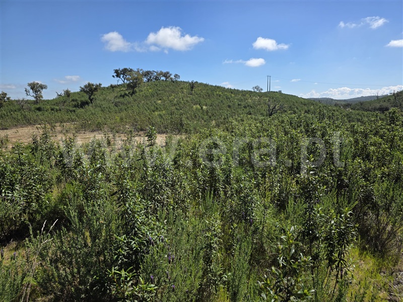 Terreno  Odemira, São Martinho das Amoreiras - 1473286 - 8