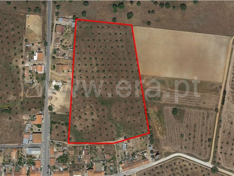 Terreno  Odemira, Vale de Santiago - 896134 - 3
