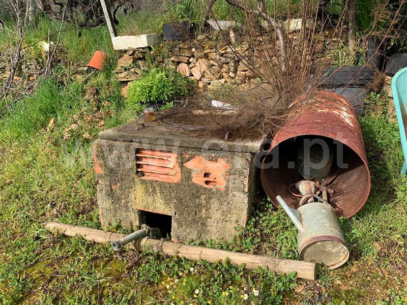 Terreno  Oleiros, Orvalho - 1378946 - 8