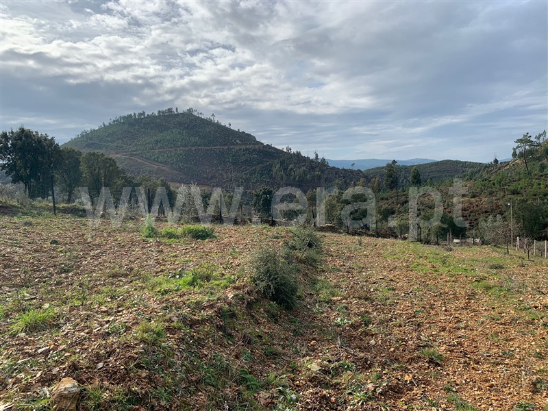Terreno  Oleiros, Orvalho - 1378946 - 11