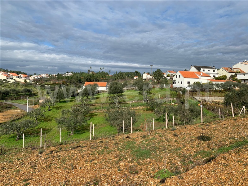 Terreno  Oleiros, Orvalho - 1378946 - 12