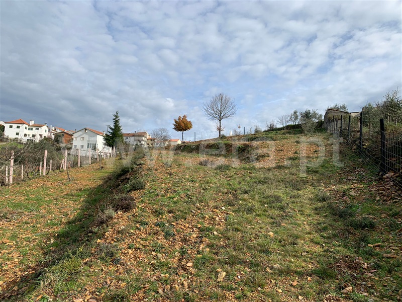 Terreno  Oleiros, Orvalho - 1378946 - 13