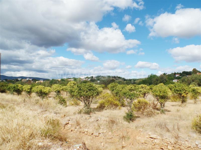 Terreno / Olhão, Moncarapacho e Fuseta