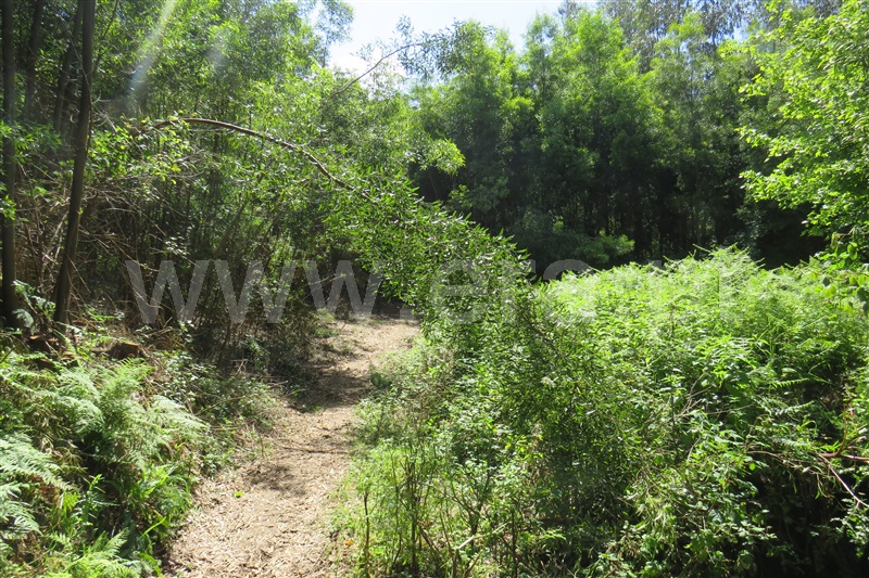 Terreno / Oliveira de Azeméis, Cucujães - 3