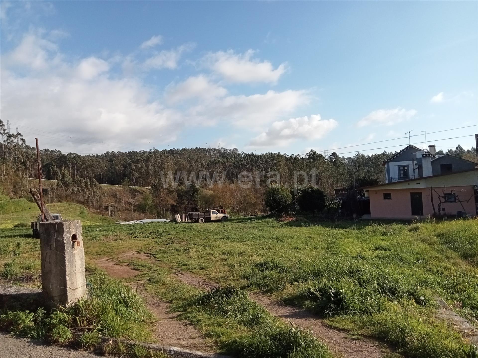 Land for sale in Oliveira de Azeméis, Portugal — €61,000