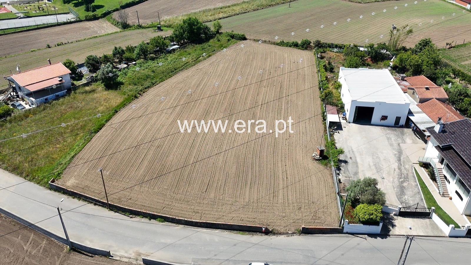 Terreno / Oliveira de Azeméis, Fajões