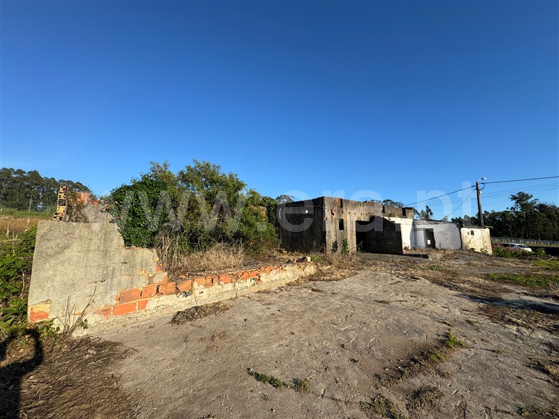Terreno / Oliveira de Azeméis, Loureiro