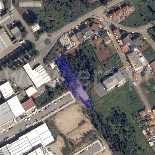 Terreno / Oliveira de Azeméis, Macieira de Sarnes