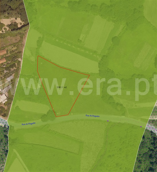 Terreno / Oliveira de Azeméis, Nogueira do Cravo e Pindelo