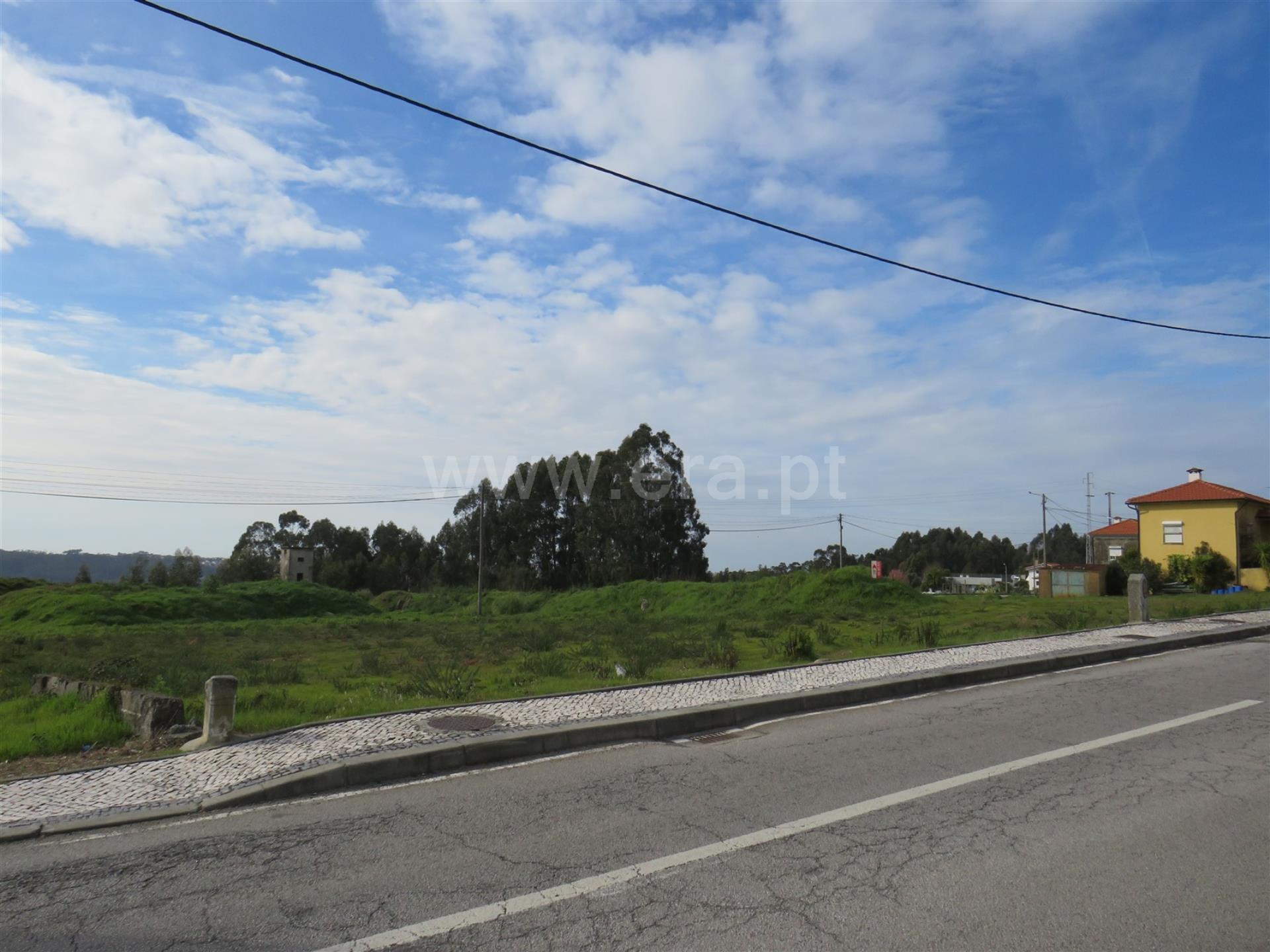 Land for sale in Oliveira de Azeméis, Portugal — €680,000
