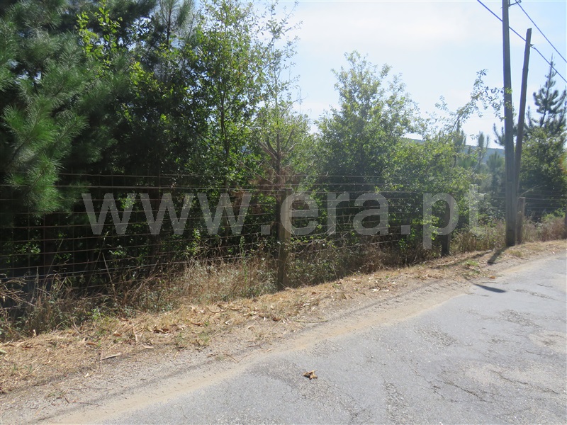 Terreno / Oliveira de Azeméis, Ossela